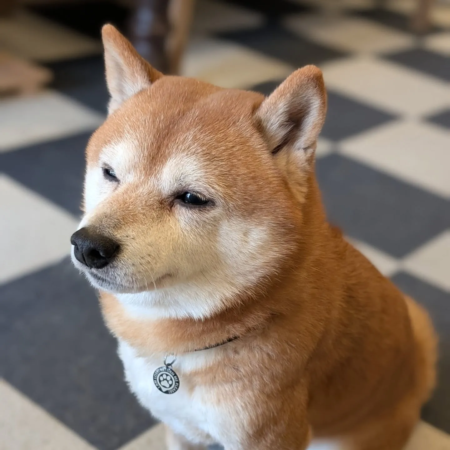 1年以上継続して酸素ボックスに入ったら♫