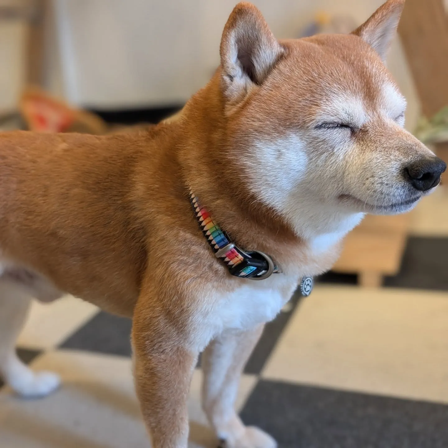 1年以上継続して酸素ボックスに入ったら♫