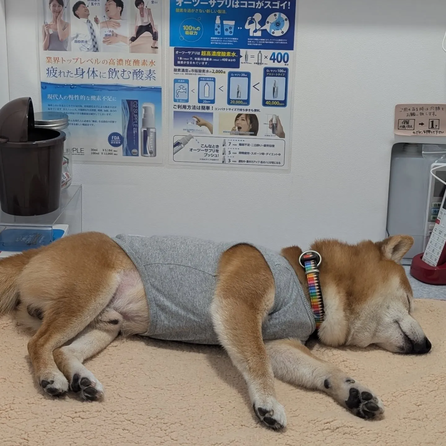 酸素ボックスでリフレッシュ♫