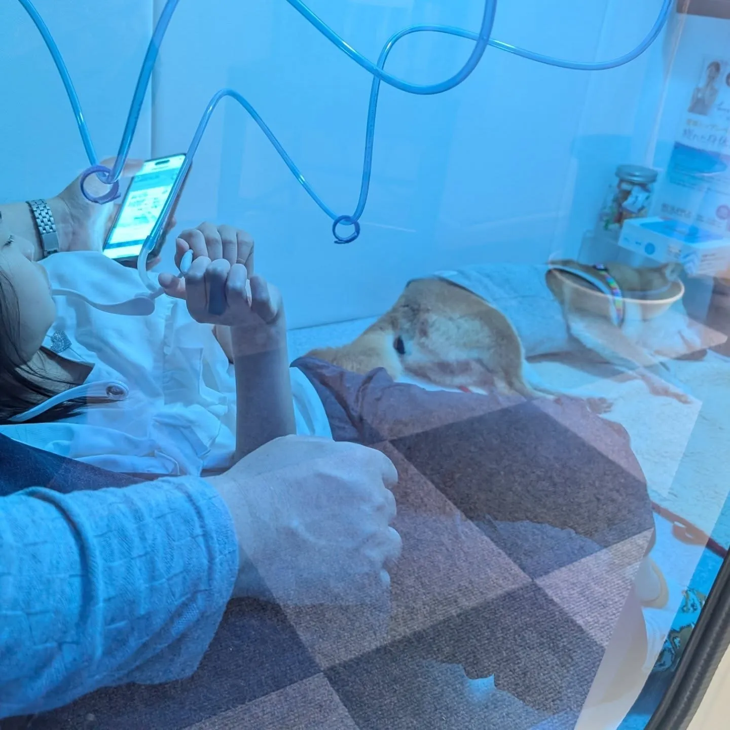 酸素ボックスでリフレッシュ♫