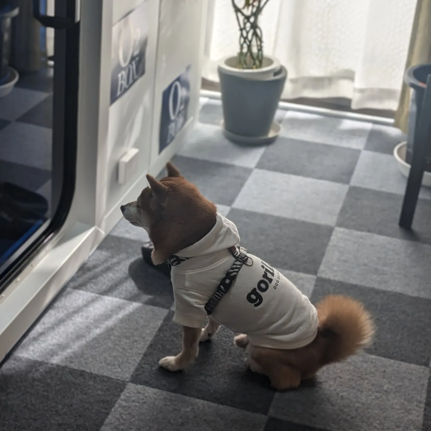 定期的な酸素補給でだるさや疲れを緩和しましょう♪♫